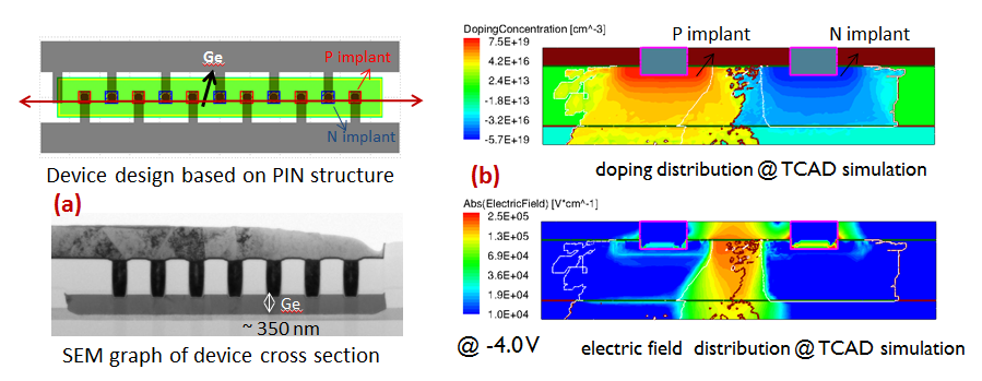 Fig. 1. Germanium-based PIN APD 